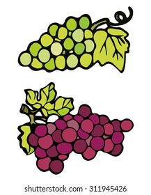 set green and pink grapes