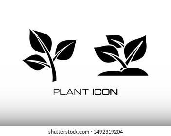 Set of Green Plant Icon Vector in Black Monochrome Image Symbol. Consist of Two Variation Leaf of Plant. Suitable for Agriculture and Nature sign. 
