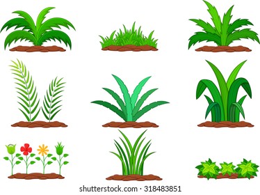 Set of green plant on a white background