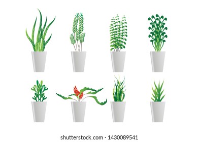 set of green plant pot in flat design