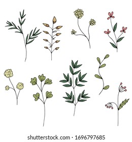 Conjunto de plantas verdes y bonitas flores rosadas del bosque en estilo de doodle. Objetos aislados en un fondo blanco. Ilustración de material vectorial.