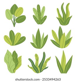 Set of green plants in a flat hand d rawn style vector illustration. Simple, minimalistic designs, perfect for eco-friendly projects, botanical themes, or nature-inspired decorations. 