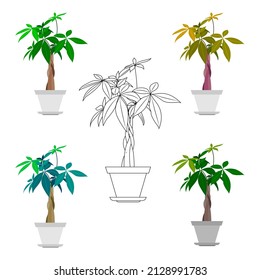 A set of green plants in a flower pot