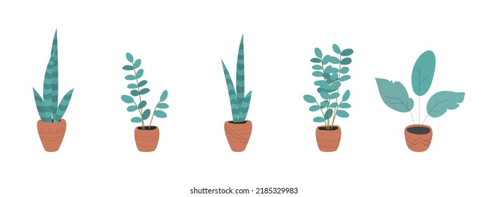 Set of green plants growing in ceramic pots. Urban jungle decor, hygge style. Hand-drawn vector illustration in pastel colours isolated on white. 