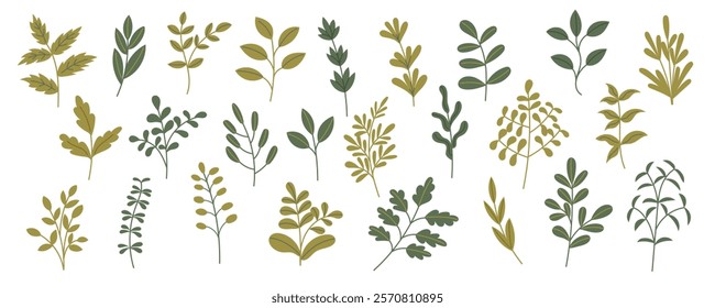 Set of green plants and leaves isolated on white background. Hand drawn botanical collection of plants. Nature, spring, summer, Ester concept.