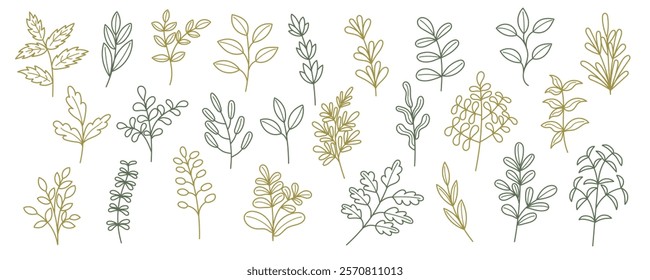 Set of green plants and leaves isolated on white background. Hand drawn art line botanical collection of plants. Nature, spring, summer, Ester concept.