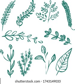 Conjunto de plantas verdes y hojas vector de contorno lineal