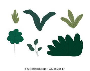 Set of green plants. Summer season elements, urban jungle decor cartoon vector illustration