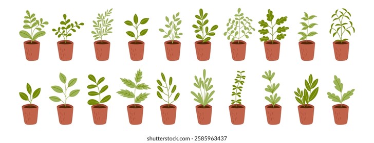 Set of green potted seedlings isolated on white background. Vector flat cliparts. Spring, gardening, ecology, sustainability, responsibility concepts.