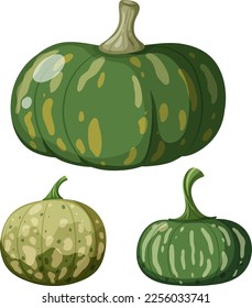 Set of green pumpkins vector illustration