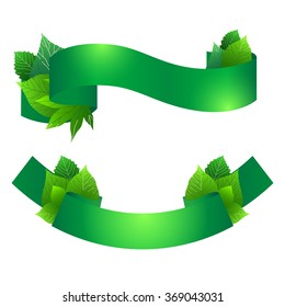 Set of green ribbons with leaves. Vector element for your design