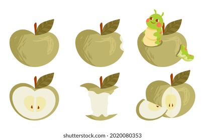 Set of green ripe apple collections whole and bitten on white background. Concept of different states of apples. Eaten, with worms or cut. Flat cartoon vector illustration