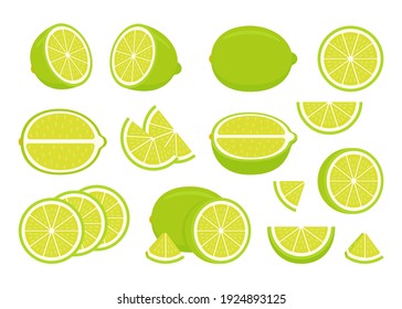 Set of green ripe lime - whole, cut half, piece and slice chopped of lemon. Fresh sour citrus fruit with vitamins. Vector illustration isolated on white background