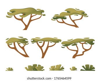 Satz grüner Savanna flora Pflanzen von Bäumen Gras und Büschen flache Vektorgrafik einzeln auf weißem Hintergrund