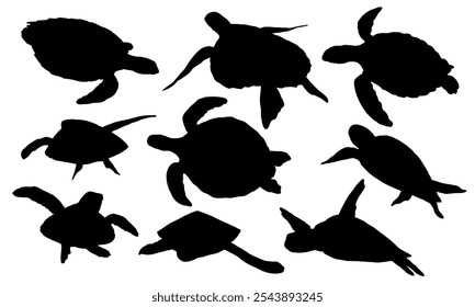 Set of Green sea turtle silhouettes. Green turtle, black turtle or Pacific green turtle and different poses. Realistic vector marine reptile.