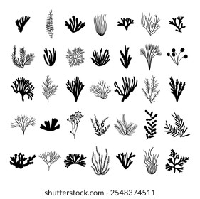 Set green seaweed. Marine plant elements. Isolated vector illustration on white background.	