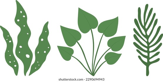 Set green seaweed underwater grass vector illustration