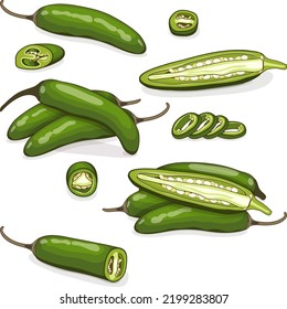 Conjunto de pimientos verdes de serrano Chile. Todo, medio, rebanado y trozos de pimientos. Serrano de Chile. Serrano chilis. Pimienta chile. Verduras. Estilo de caricatura. Ilustración vectorial aislada en fondo blanco.