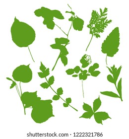 Set of green silhouettes of different leaves. Decorative floral elements. Verctor illustration.