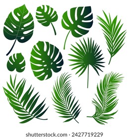 Set of green silhouettes of palm leaves isolated