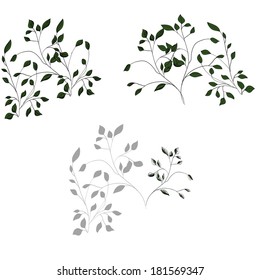 Set of green sketch bush