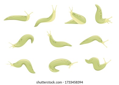 Set of green slug cartoon animal design flat vector illustration isolated on white background