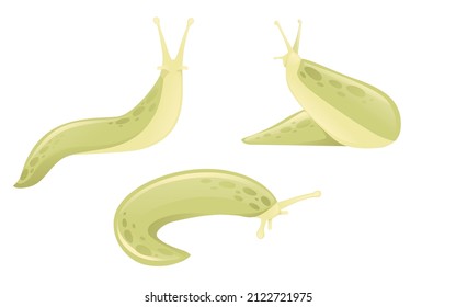 Set of green slug cartoon animal design flat vector illustration isolated on white background