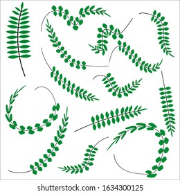 Set of green small leaves from different sides. Variants of one tropical leaf. Stock vector illustration for decoration and design, web pages, postcards, packaging, poster, fabrics, banner, textiles