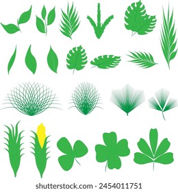 A set of green spring leaves. Different shapes of green leaves of trees and plants. Elements for ecologotypes and biologotypes.