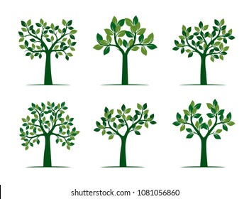 Set of Green Spring Trees. Vector Illustration. Plants in garden.