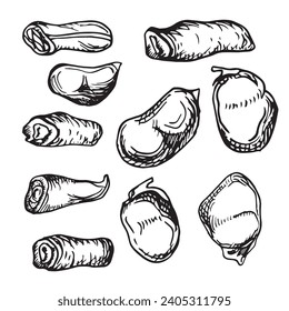 Set of green string bean vector illustration isolated on white. Kidney beans and pod ink hand drawn. Little beans and soybeans black white graphic. For design menu, wrapping, label, packaging