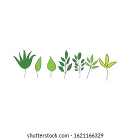Set of green stylized different form vector leaves.