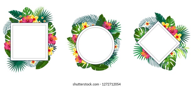 Set of green summer tropical background with exotic palm leaves and plants, flowers. Vector floral background