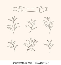 Set of green tea leaves. Flat vector illustration.