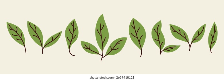 Set of green tea leaves in a flat cute style on the beige background, horizontal banner