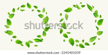 Set of green tea or mint leaves circle frames isolated on transparent background. Realistic vector illustration of round wreath with fresh foliage. Symbol of freshness, organic product, natural beauty