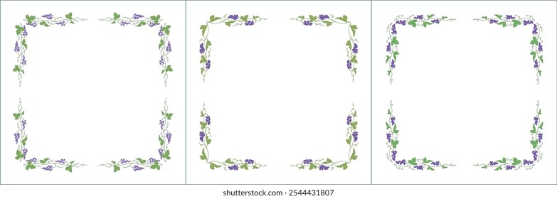 Set of green three vegetal vector frames with purple grape vine. Vector frame for all sizes and formats. Isolated vector illustration.