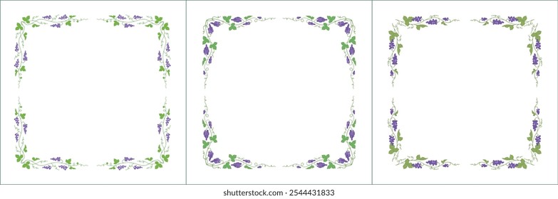 Set of green three vegetal vector frames with purple grape vine. Vector frame for all sizes and formats. Isolated vector illustration.