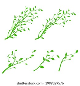 Set of green tree branch. Branch silhouette isolated on white background with a lot of leaves. Vector illustration
