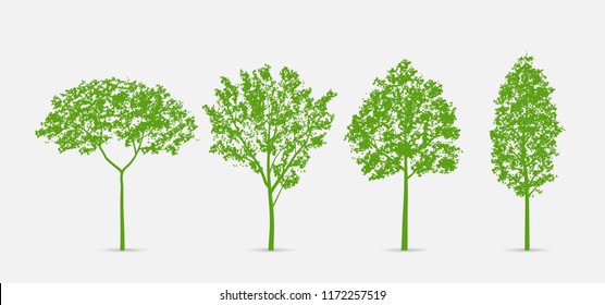 Set of green tree isolated on white background for landscape design and architectural compositions with backgrounds. Vector illustration.