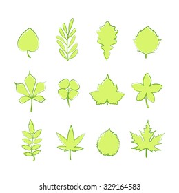 set of green tree leaf icons isolated on white background. vector nature symbols