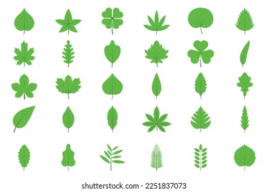 set of Green tree leaves. Leaves of oak, aspen, linden, maple, chestnut, clover, and plants.