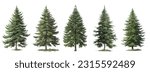 Set of green trees isolated on the white background, christmas trees vector