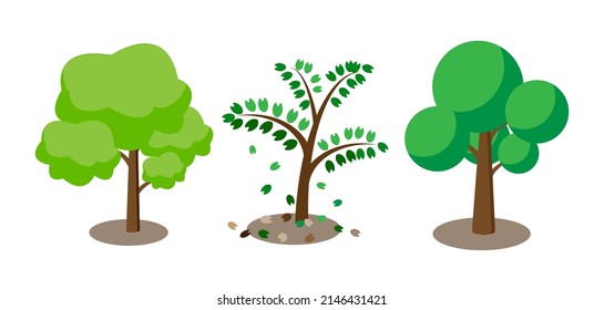 Set of green trees isolated on white background. Natural object for landscape design, park and outdoor graphic. Vector illustration.