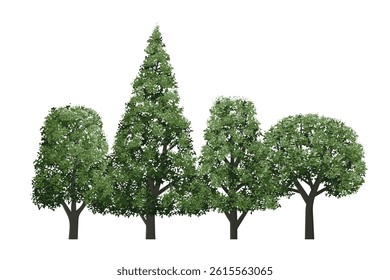 Set of green trees isolated on white background for landscape and architecture drawing, elements for environment and garden. Vector illustration.
