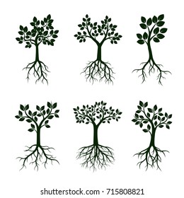 Set Green Trees with Leaves and Roots. Vector Illustration.