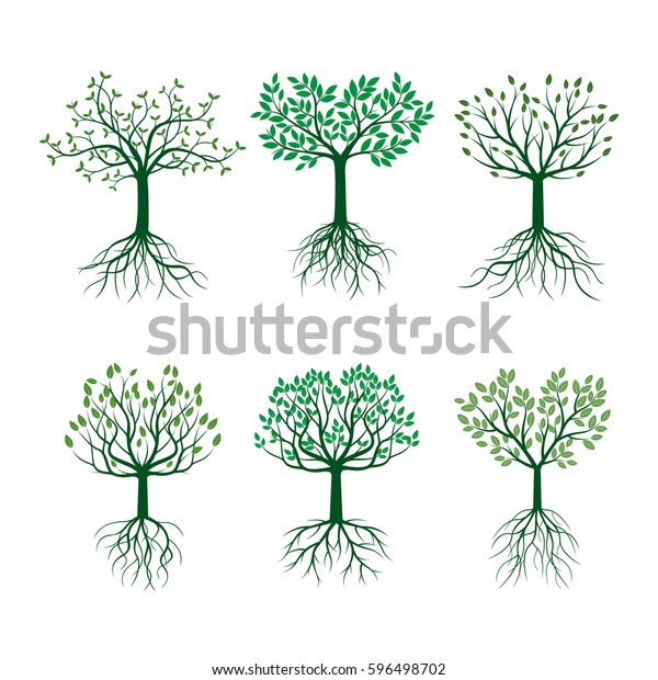 Set Green Trees Leaves Roots Vector Stock Vector (Royalty Free) 596498702