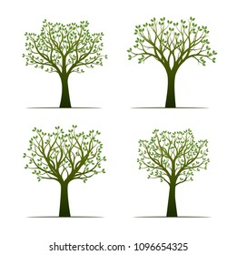 Set of green Trees with Leaves. Vector Illustration. Plants and garden.