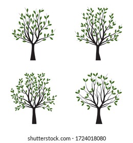Set Green Trees with Leaves. Vector outline Illustration. Outline Tree, Plant in Garden.