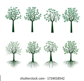 Set Green Trees with Leaves. Vector outline Illustration. Outline Tree, Plant in Garden.